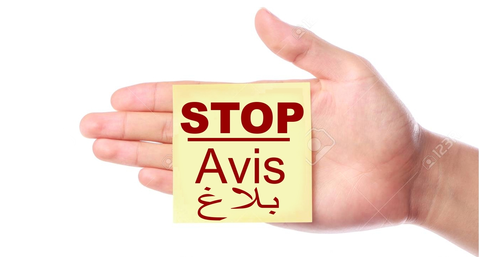 LES BENNES